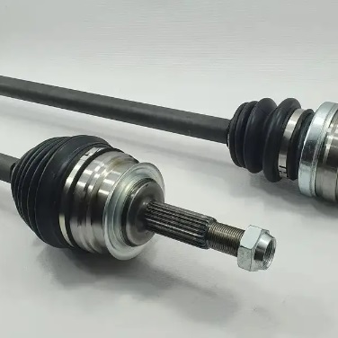 Піввісь у зборі