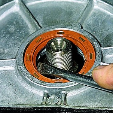 Сальник первинного валу, сальник півосі.