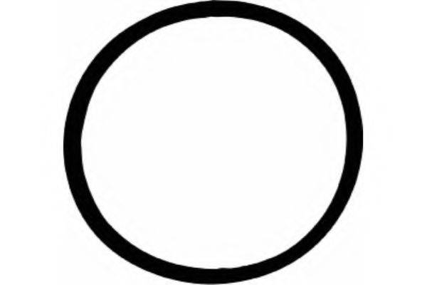 Прокладка, впускний колектор JD5228 PAYEN