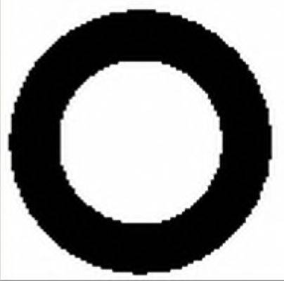 Прокладка, впускний колектор OR9313 BGA