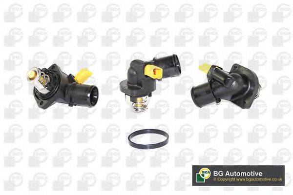 Термостат, що охолоджує рідину CT5021 BGA